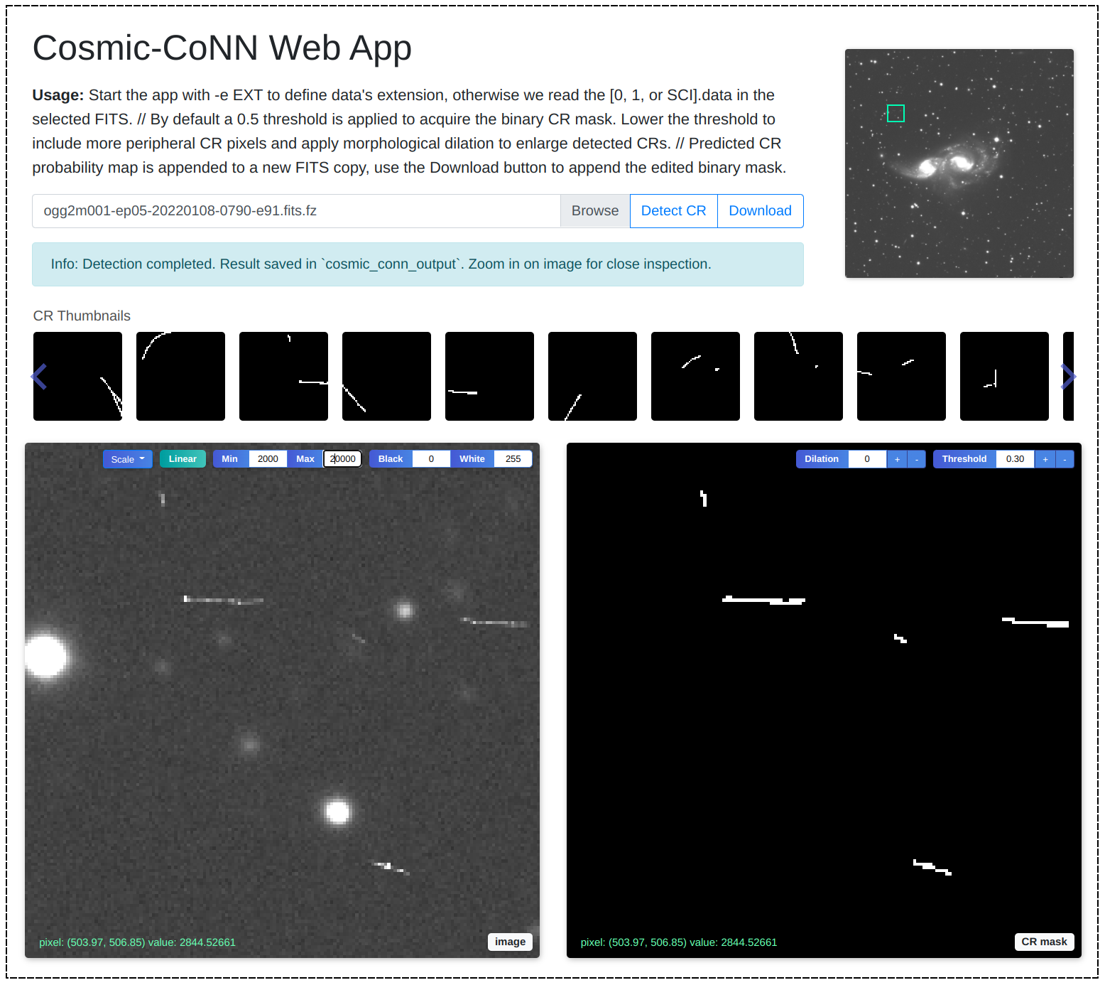 an image shows the web-based CR detector interface